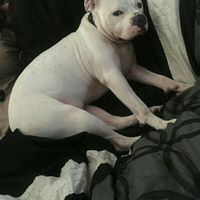 Update #2: I'm so devastated. NWR