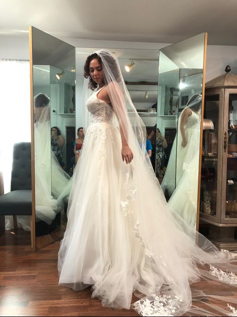 Adding bling/sparkle to wedding dress 4
