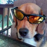 NWR: What kind of dog do you have?