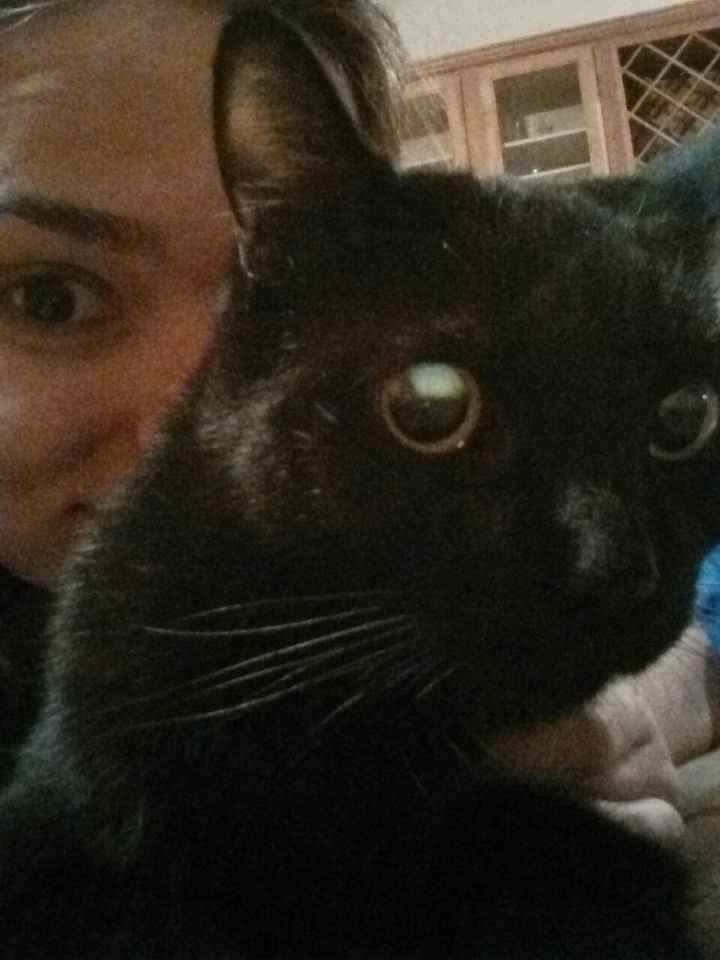 Selfies