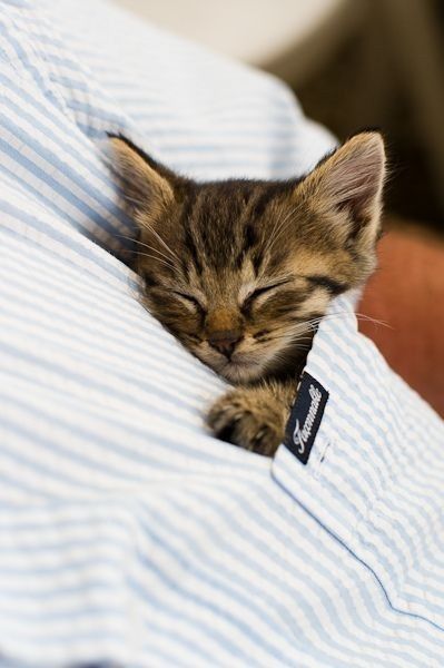 Seems like an awful lot of bad news on here today :(