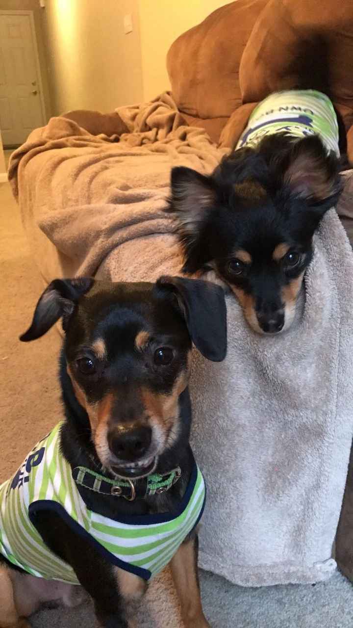 Today is National Pet Day! Let's see those fur babies :)