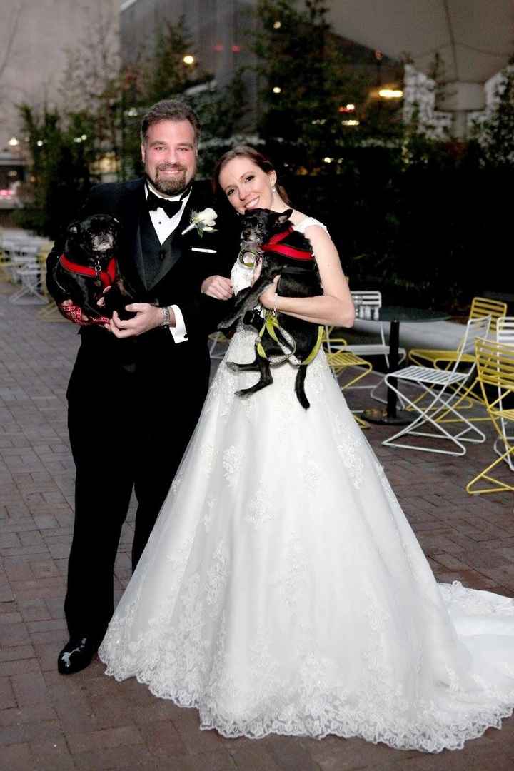 Today is National Pet Day! Let's see those fur babies :)