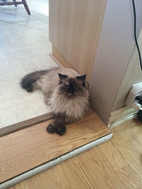 Happy Fursday!