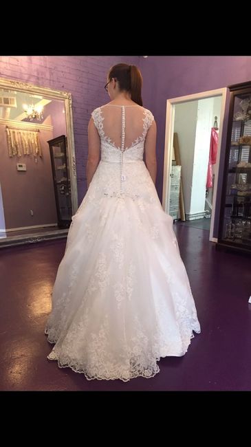 Cut Dress or Get Bustle?