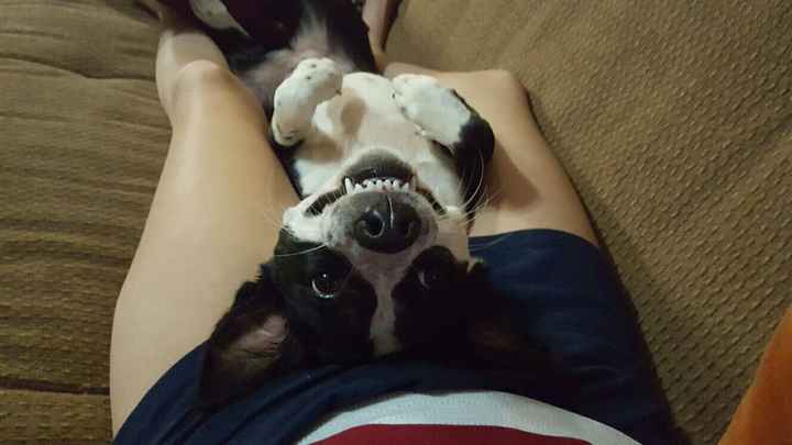 NWR: you and furbaby pic!