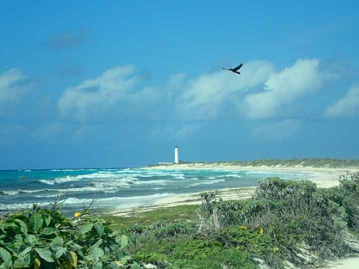 Honeymoon Cruise Excursions