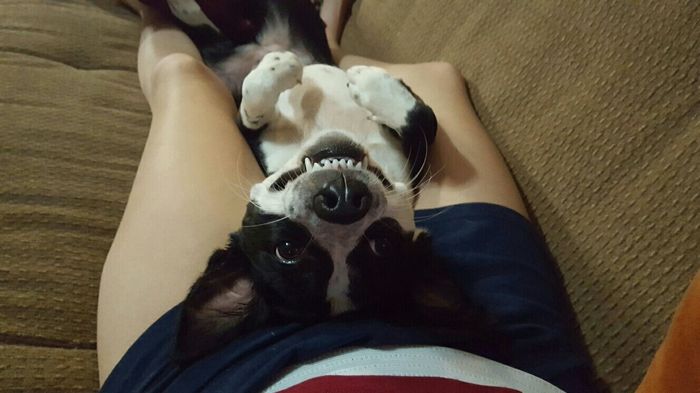 NWR: you and furbaby pic!