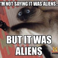 NWR: I just noticed my avatar has changed to a pic of my cat...