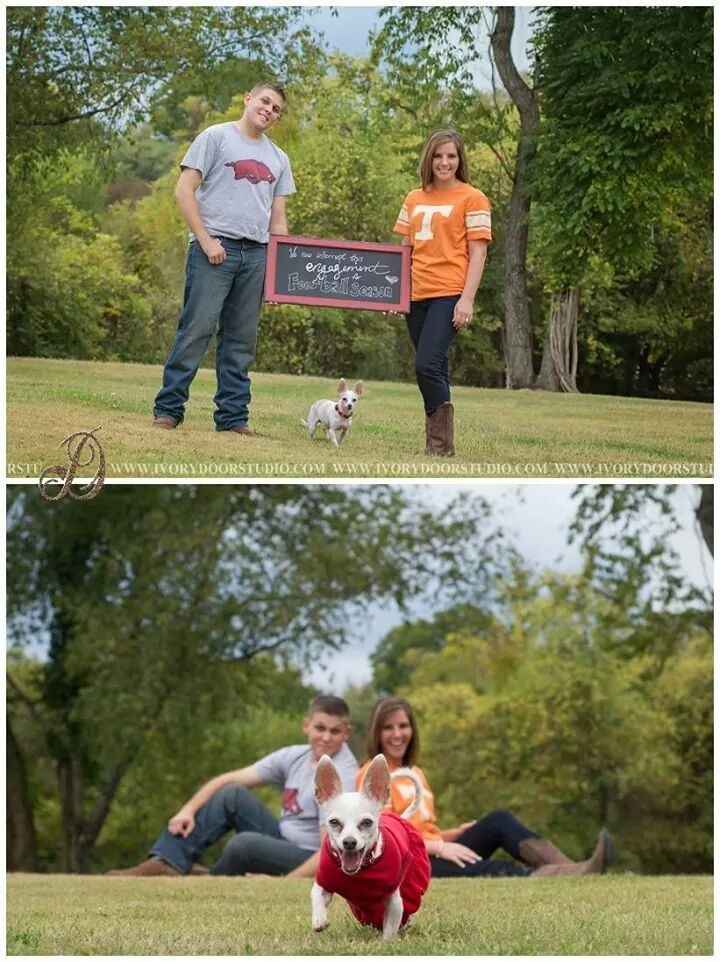 This is a pets in wedding thread.(I want to see pictures)