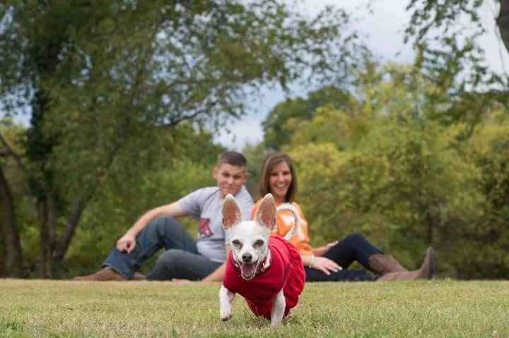 Pets in Pro Pics