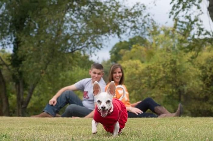 NWR: Professional Photos for your dog? Family Dog Photo? SHOW ME UR PET!