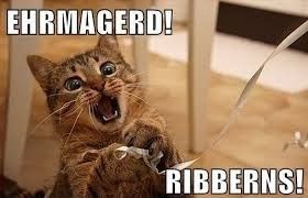 NWR:  cat meme time!