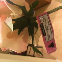 Looking for Michael's flowers - Update!