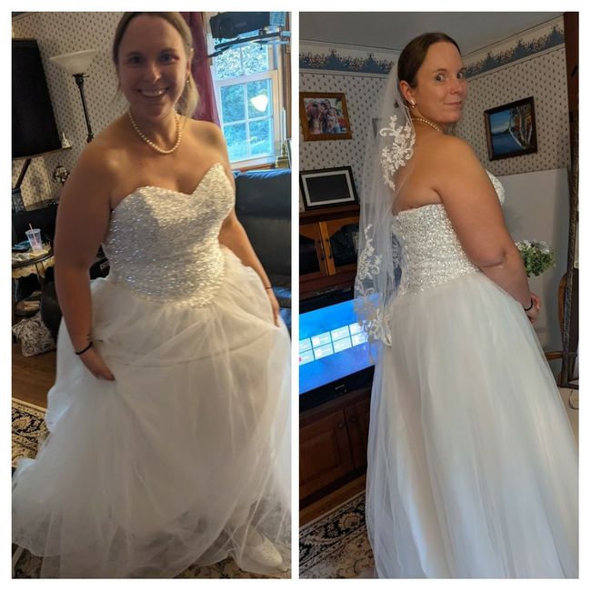 Choosing between two dresses 2