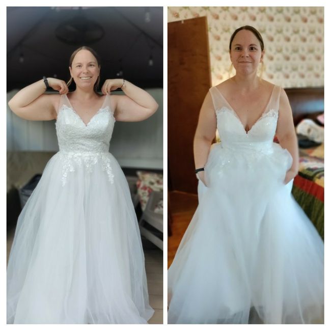 Choosing between two dresses 1