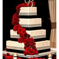 Show me your cake inspirations!