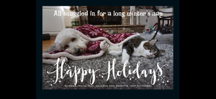 Blending Fur-families! - 1
