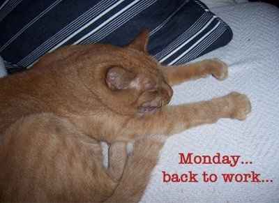 Just to Lighten the Mood a Bit (NWR)