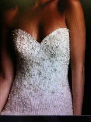 so... I said YES to the DRESS!!
