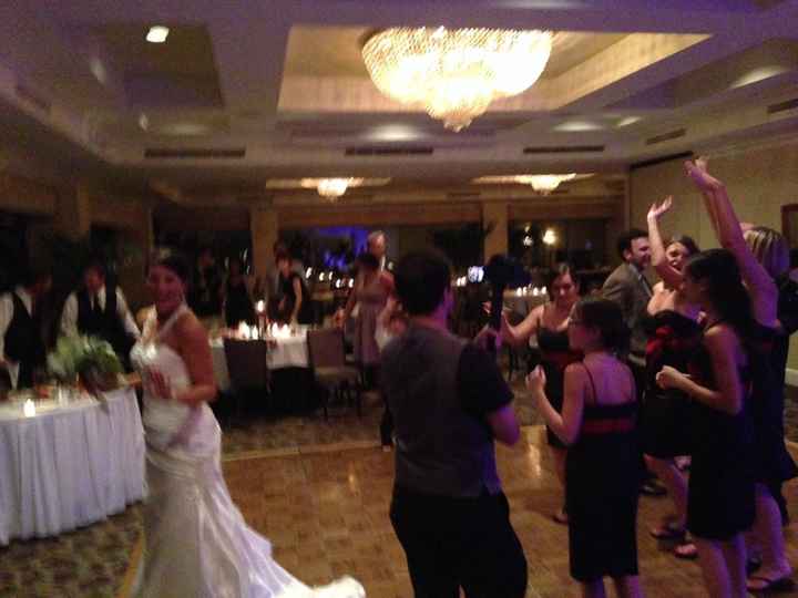 Back, married, honeymooned, wham BAM, thank you Ma'am! (Pictures in thread Pictures on pg 1,2 and 4)