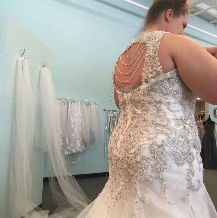 I said Yes to the Dress!!!!
