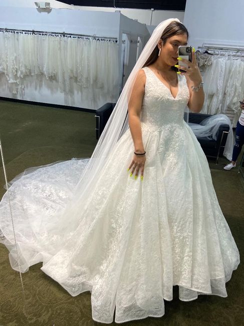 Wedding Dress Alterations - 3