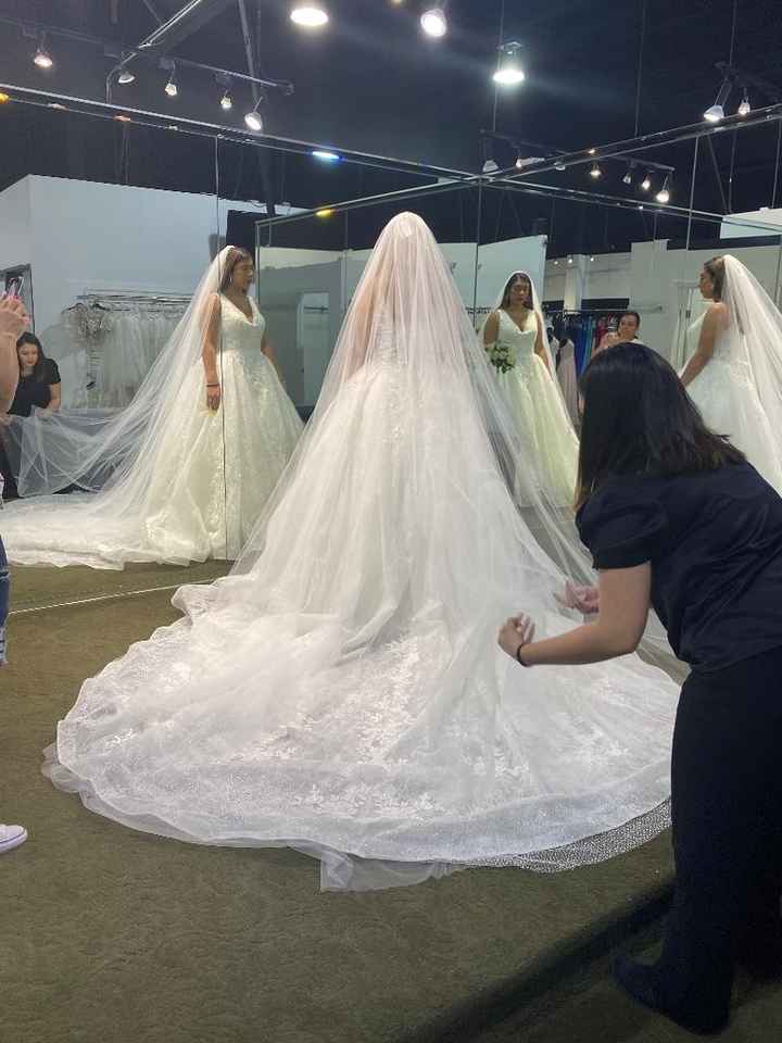 Wedding Dress Alterations 1