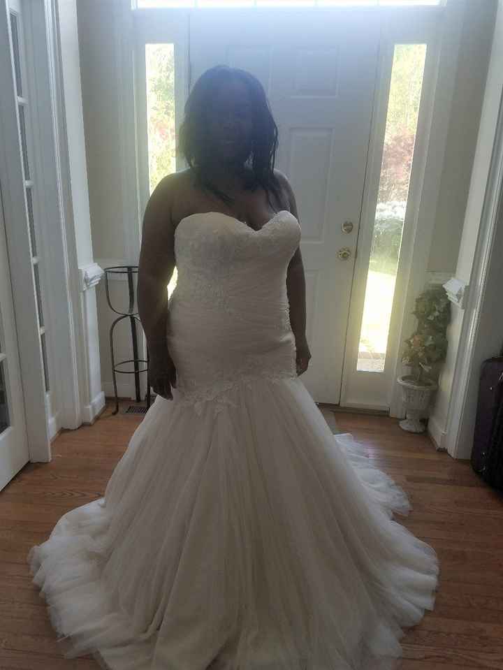 It's here!  I got it!!  It's my dress!  It's beautiful! It's lighter than I remember, and not quite 