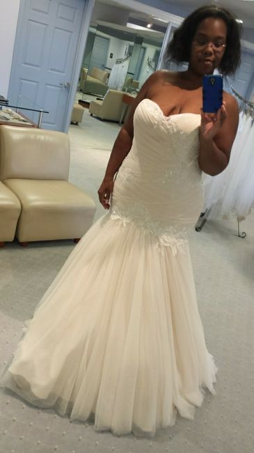Non-traditional Dresses - 1