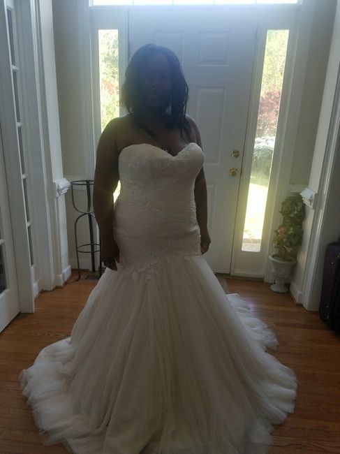 i didn't cry when i found my dress! - 1