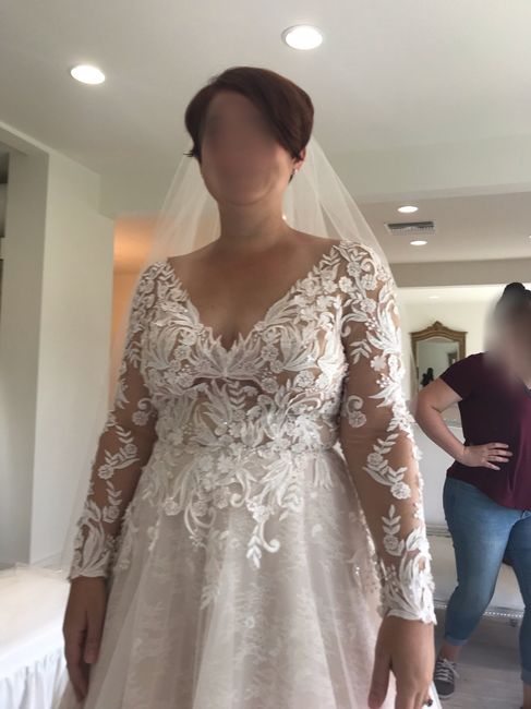 Any Long sleeved brides or brides to be out there? 8