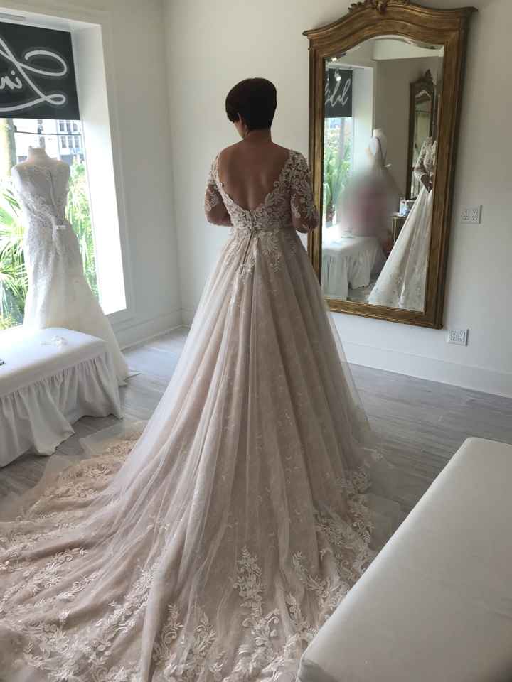 Different Colour Wedding Gown? - 1