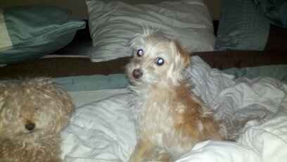 We've seen your rings, your dresses, your jewels.... show me your