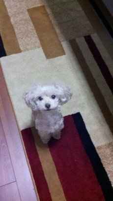 We've seen your rings, your dresses, your jewels.... show me your