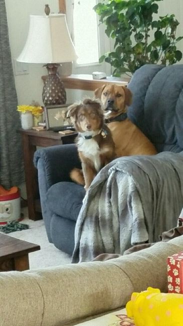 NWR: Show me your pups!