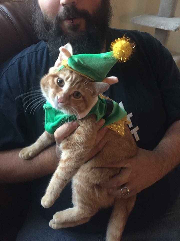 Just need to vent and cry a little