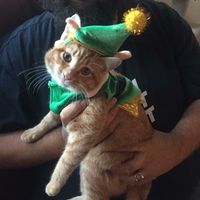 Just need to vent and cry a little