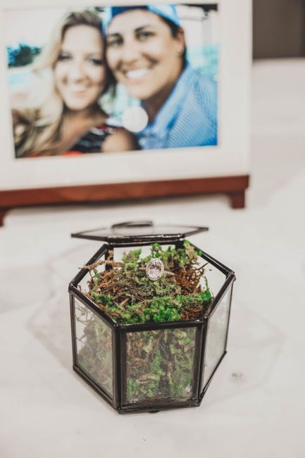 Shameless ring post - 1