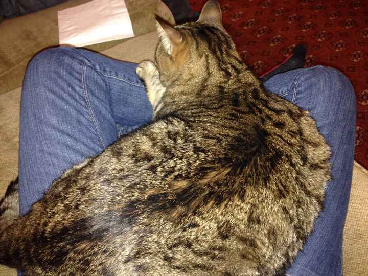 Its Fursday! Show me your furbabies! :)