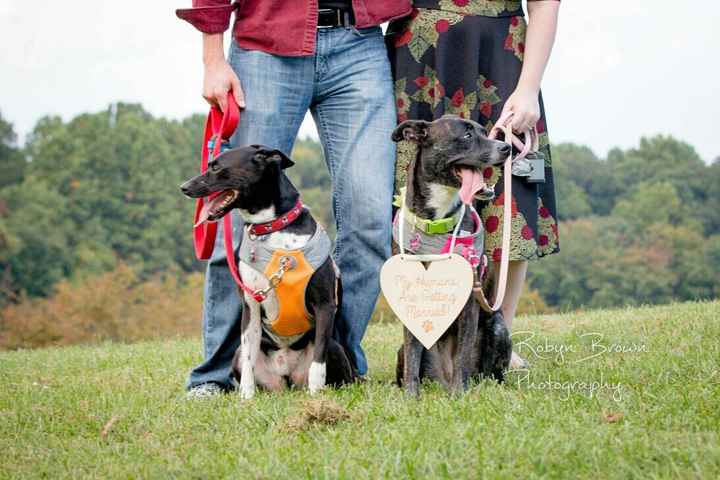 Share your favorite engagement picture - 1