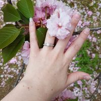 Show me your rings :)