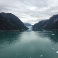 Let's talk Zika.... please