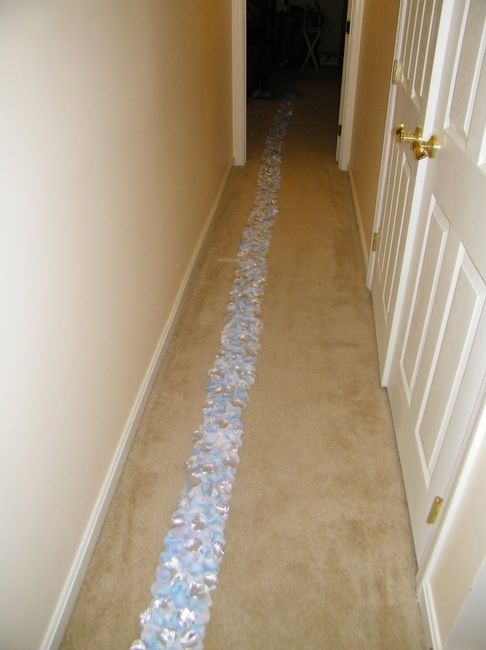 DIY: Half done with my petal aisle runner *PICS*