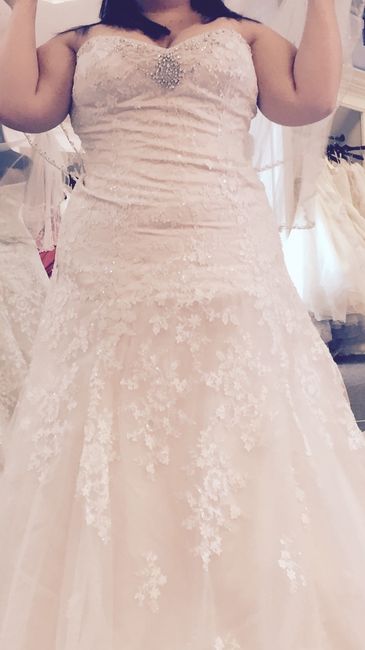 Show me your gown!