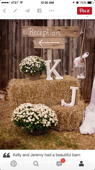 Our $150 decor Budget..sample Pic