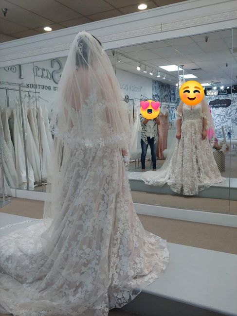 Veil Help - 1