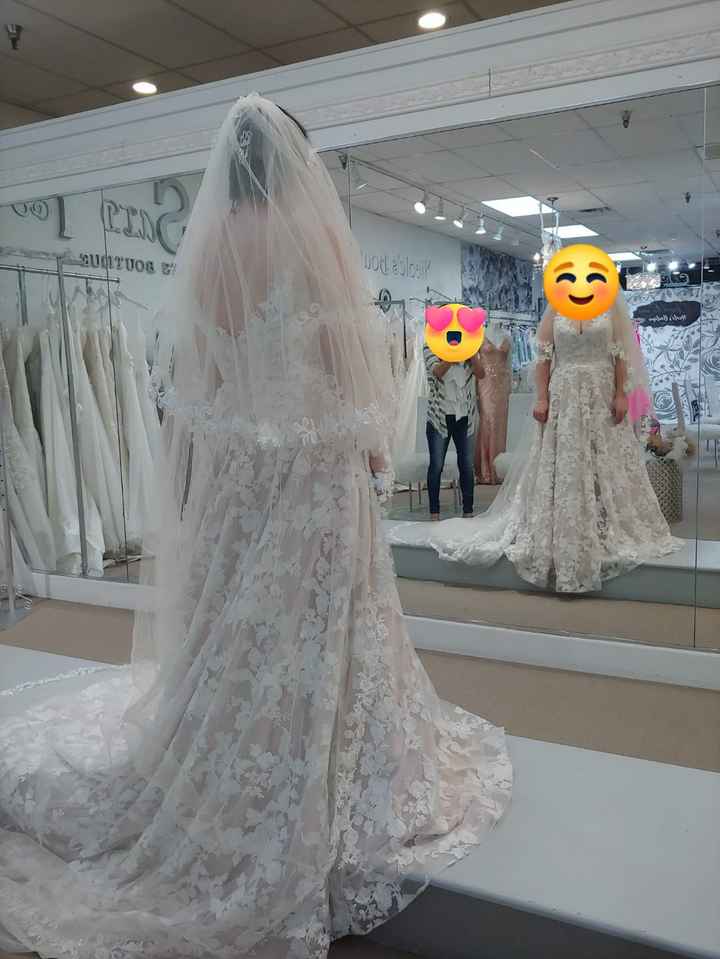 Veil Help - 1