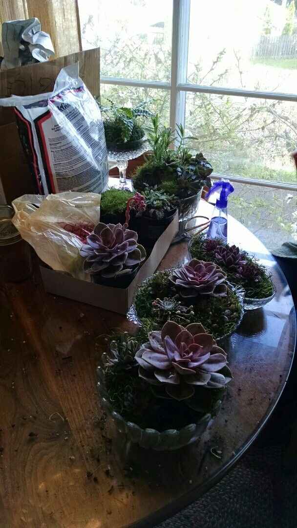 Centerpiece Mock-ups