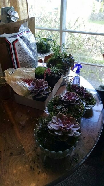 Centerpiece Mock-ups